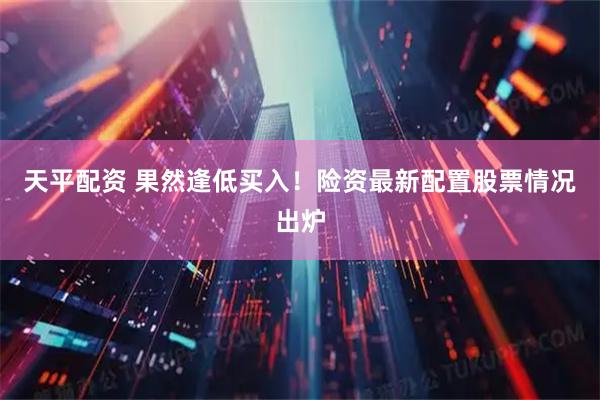 天平配资 果然逢低买入！险资最新配置股票情况出炉