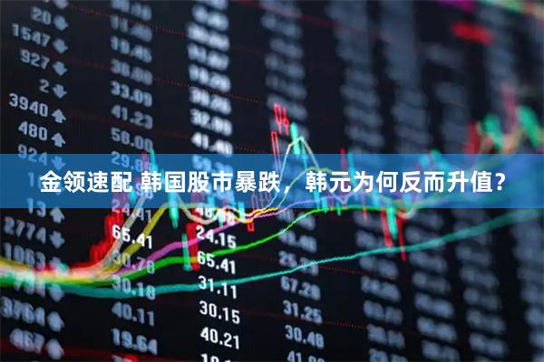 金领速配 韩国股市暴跌，韩元为何反而升值？